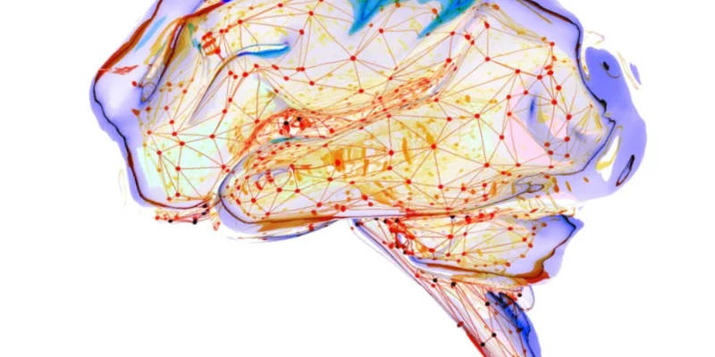 The Gut-Brain Breakthrough: How Energy Up Biotics Supports a Smarter, Healthier You